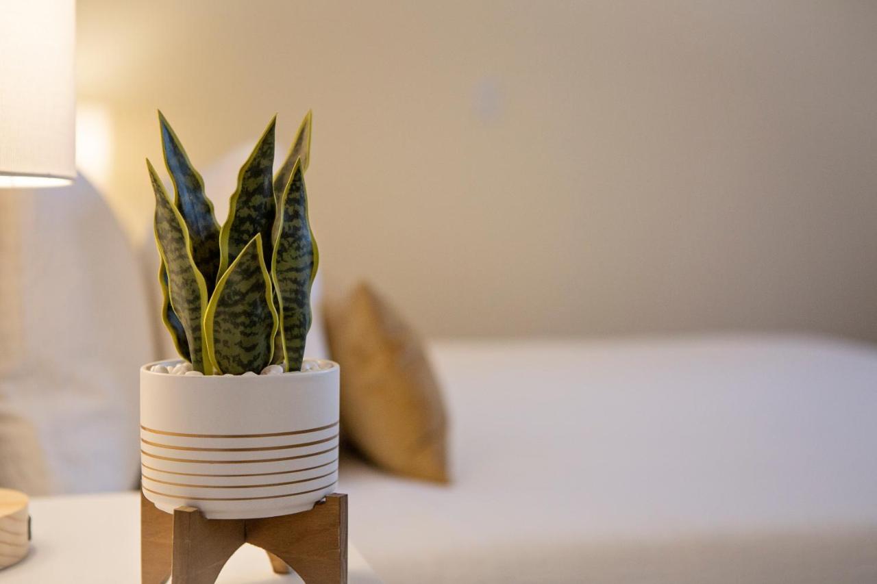 Stirling All Suites Hotel Nelson Ngoại thất bức ảnh